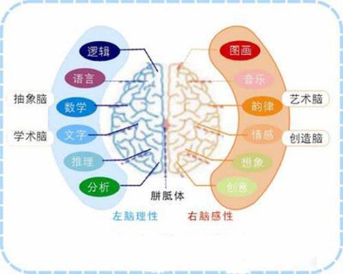 别再死记硬背了 记忆也有四类最佳时段